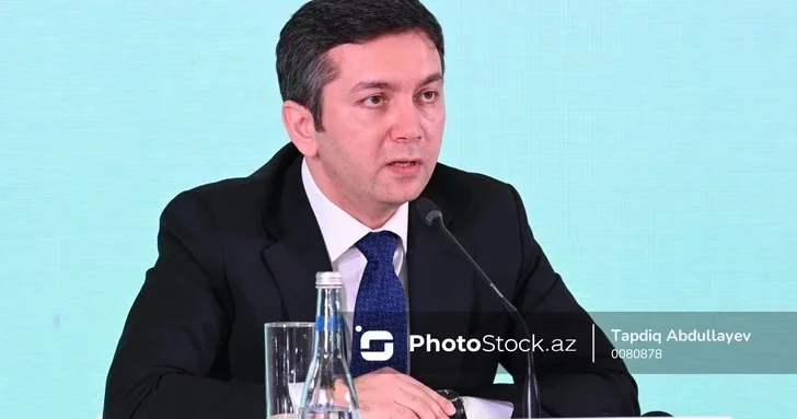 Ялчын Рафиев: После COP29 Азербайджан продолжил работу над климатическими инициативами