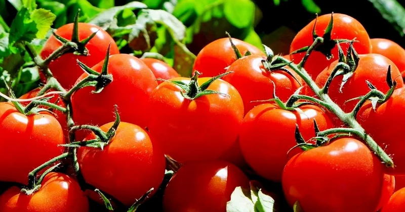 Bu məhsul bahalaşdı Açıqlama