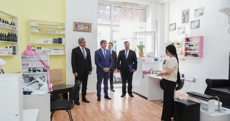 Qəbələdə özünüməşğulluq proqramı üzrə qurulmuş təsərrüfatlara, günərzi qayğı və reabilitasiya mərkəzlərinə baxış olub