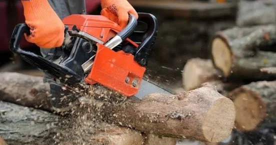 Yaşıllıqlara dəymiş ziyanın məbləği 49 min manatı ötüb