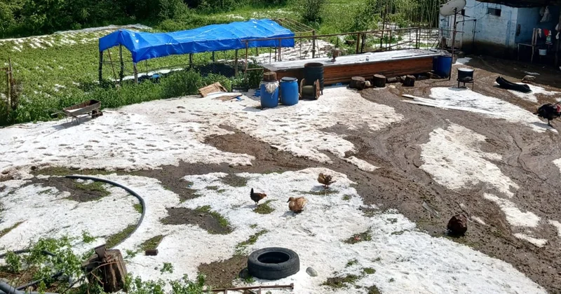 Kəlbəcərə diametri 15 20 mm olan dolu yağıb FAKTİKİ HAVA
