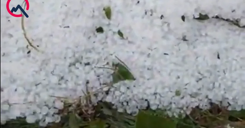 Xoşbulağa dolu düşdü Video