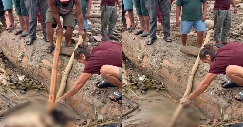 Fəlakətdən sonra qeyri insani görüntülər yayıldı Video