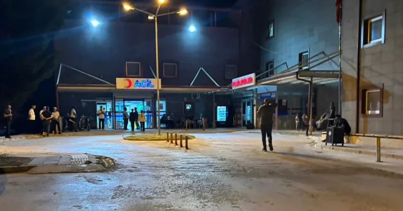 В Турции 15 работников птицефермы отравились аммиаком