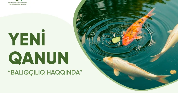 Yeni qanun balıqçılığın inkişafına xidmət edəcək