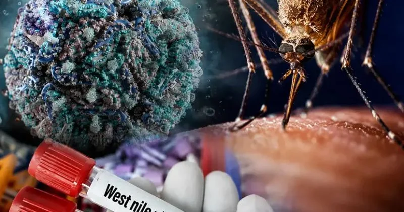 Avropada virus həyəcanı: Yoluxmalar artır, ölənlər var