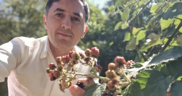 Dövlət əmlakını taladım Tural Abbaslı