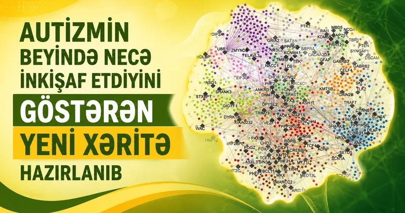 Autizmin ikişaf xəritəsi belədir FOTO