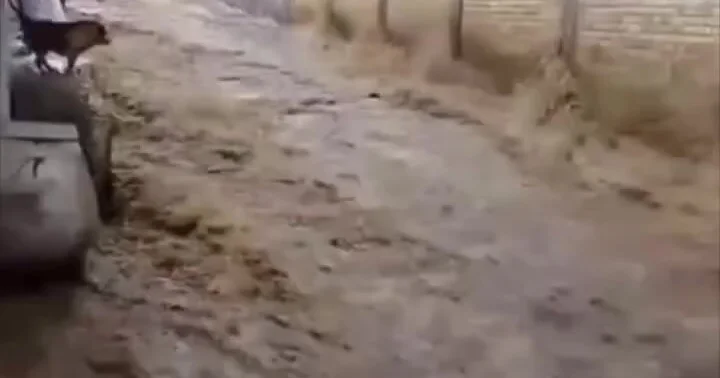 Дожди затопили Мексику ВИДЕО