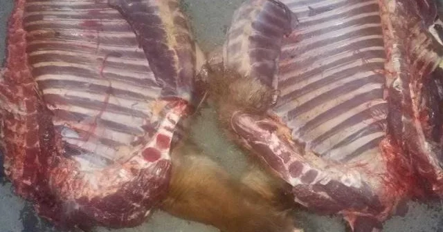 Azərbaycan kiloqramı 2 dollardan Qazaxıstana 80 ton at əti satıb