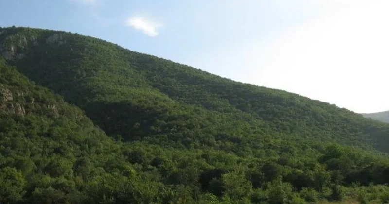 Azərbaycandakı qoruqlardan 8 ayda 4 milyon manatdan artıq gəlir əldə olunub