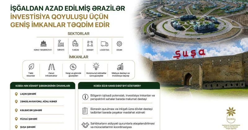 İşğaldan azad edilmiş ərazilər investorlar üçün geniş imkanlar təqdim edir