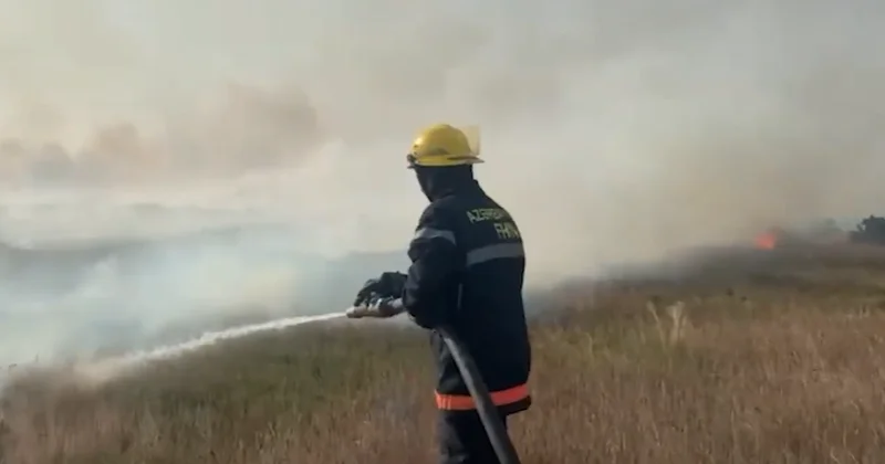 FHN əməliyyat görüntüləri yaydı 469 yanğına çıxış, 3 qəza, 1 partlayış... ANBAAN VİDEO
