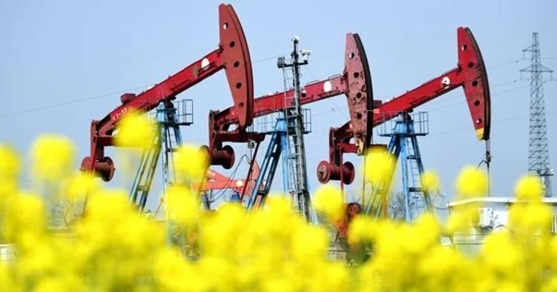 Нефтяные котировки растут
