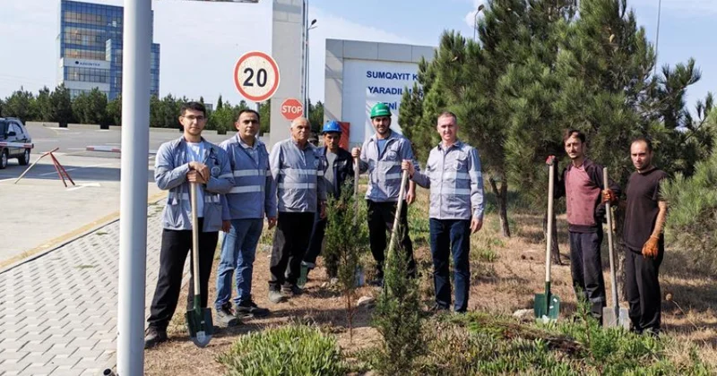 Sumqayıt Sənaye Parkının ərazisində 300 dək ağac əkilib