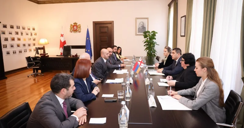 Papuaşvili: Cənubi Qafqazda regional inkişaf üçün yaxşı imkan yaranıb