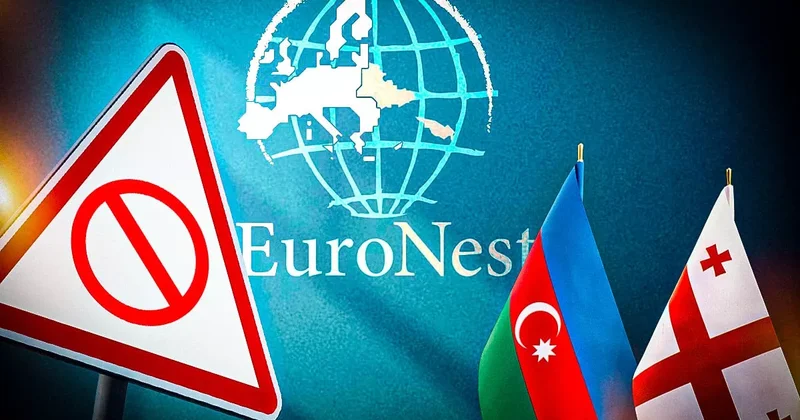 Выдержанная политика Баку и Тбилиси против истерик евродепутатов Экспертные мнения на