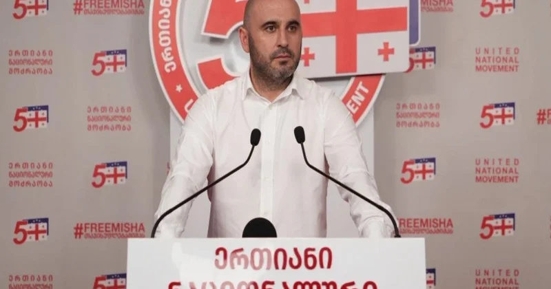 Tbilisi məhkəməsi müxalifət liderini həbsdə saxlayıb