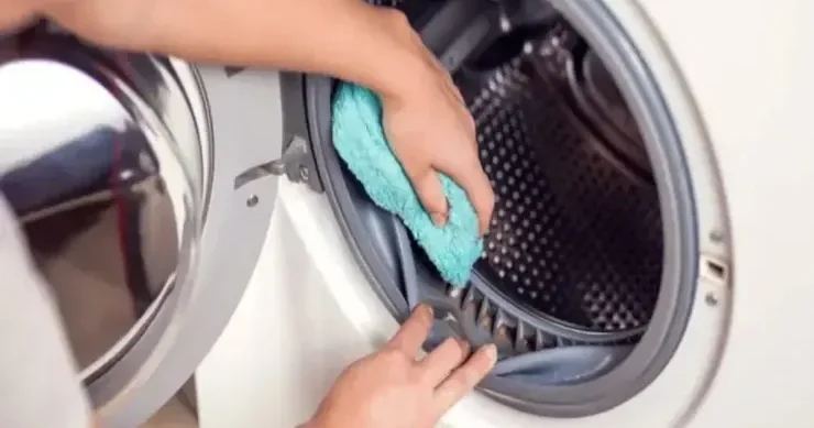 Paltaryuyan maşında rezin manşeti necə təmizləmək olar?