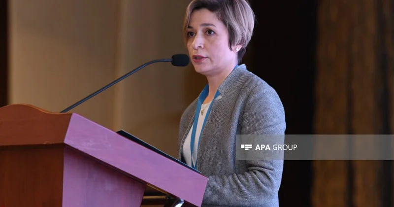 Ülviyyə Cabbarova: Türk dünyasının sığorta sənayesi yeni inkişaf mərhələsindədir