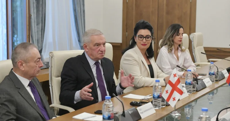 Gürcü vitse spiker: Azərbaycan Ermənistan danışıqlarının uğurla yekunlaşacağına ümid edirik