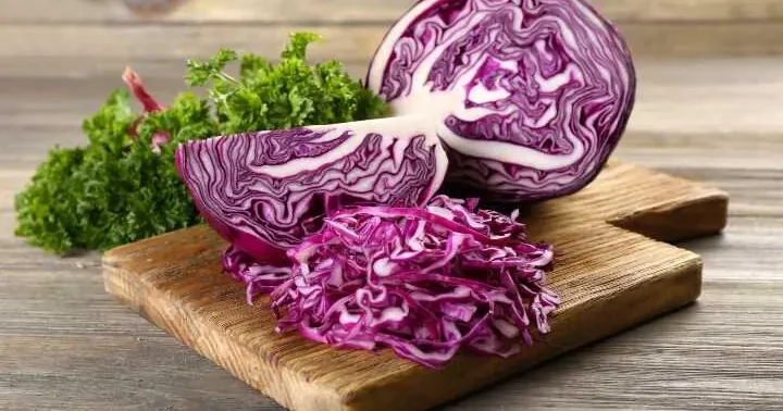 Qırmızı kələmin hansı faydaları var?