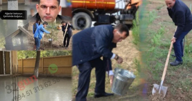 Qazaxda park “məhv edilir” Ağaclar gecə ilə kəsildi, beton obyektlər ucalır / FOTOFAKT