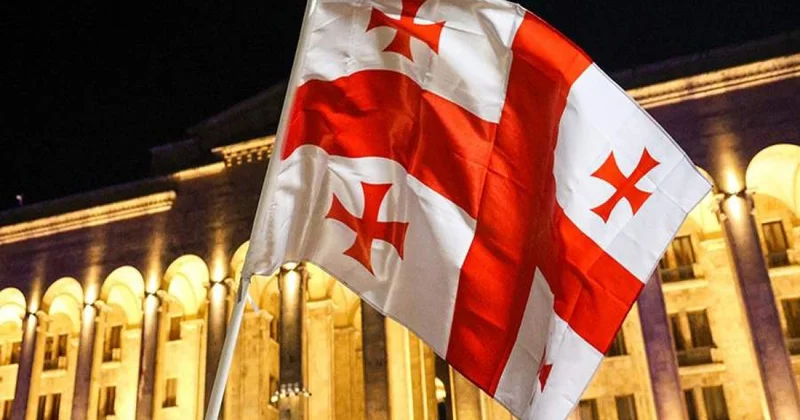 Gürcüstanda üç müxalif partiyanın qadağası ilə bağlı prosedura başlanılır