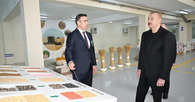Sabirabad Sənaye Məhəlləsində toxum istehsalı müəssisəsinin fəaliyyəti ilə tanışlıq