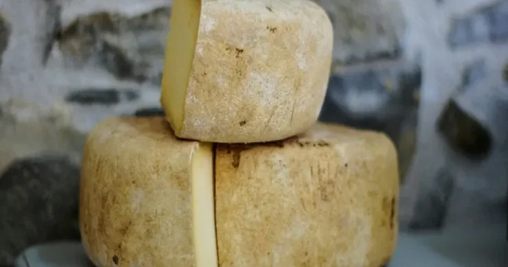 Parmesan pendiri əslində nədən hazırlanır? Sizi şoka salacaq HƏQİQƏT