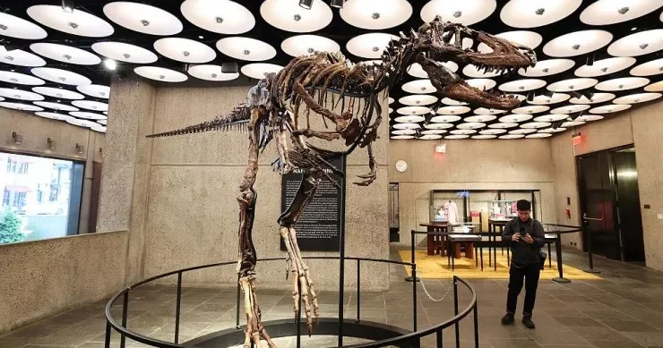 ABŞ da 67 milyon illik dinozavr skeleti 47 milyon dollara satıldı