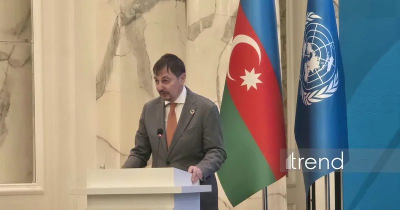 ООН поддержит Азербайджан в реализации климатических обязательств и развитии зеленой энергетики