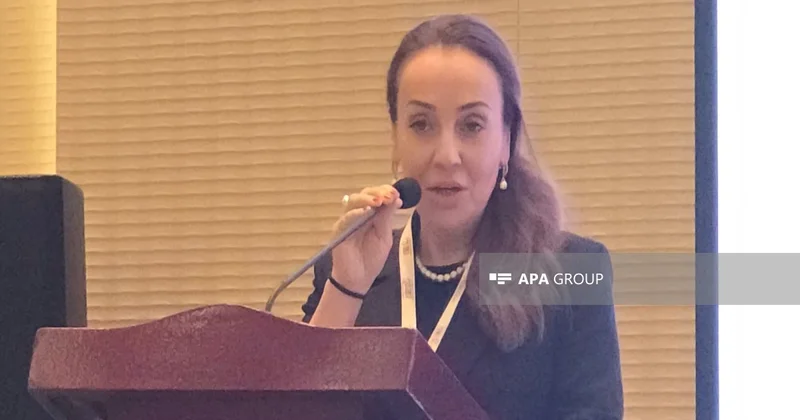 IFC: Azərbaycanda kənd təsərrüfatının maliyyələşdirilməsi üçün yeni imkanlar yarana bilər