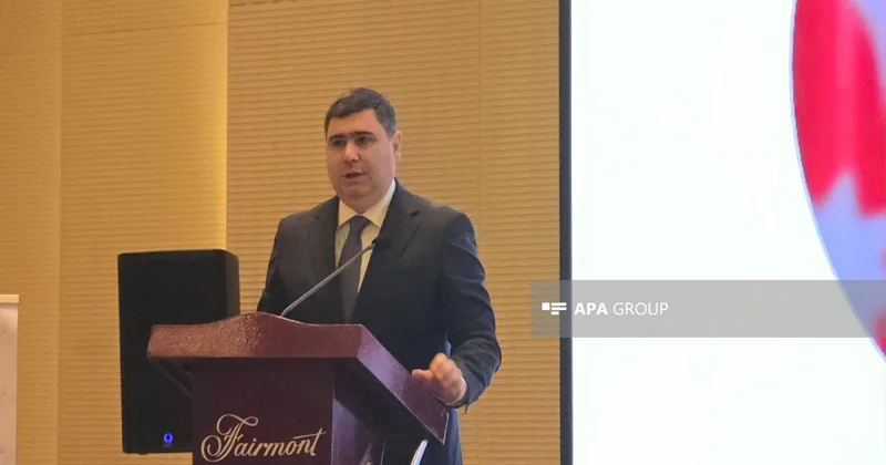 AMB: Mikromaliyyə sektoruna alternativ maliyyələşmə mənbələrinin cəlbi vacibdir