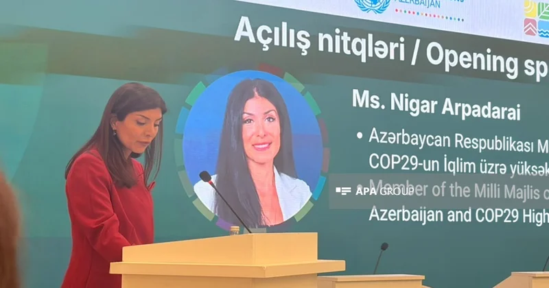 Nigar Arpadarai: Dekarbonizasiya ənənəvi enerji sektorundan imtina kimi başa düşülməməlidir