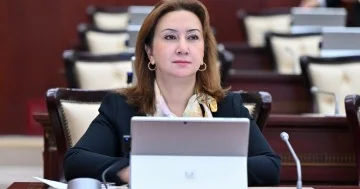 Milli birlik və müstəqil siyasət: Azərbaycanın beynəlxalq nüfuzunun əsası