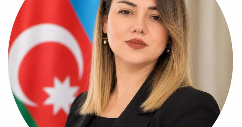 Qarşıdakı dövrün strateji vəzifələri ŞƏRH
