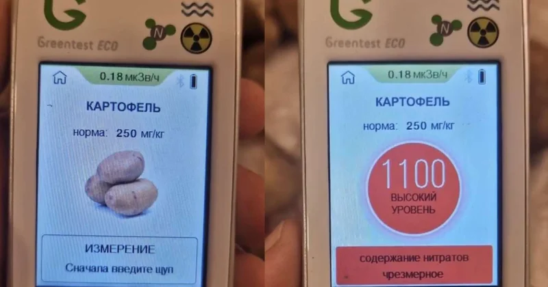 Azərbaycanda satılan kartofda normadan 4 dəfə çox nitrat aşkarlanıb? VİDEO