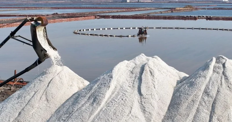 Çində duz yığımı mövsümündən maraqlı görüntülər FOTOLAR