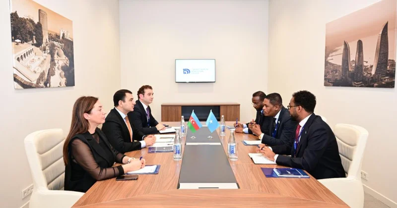 Azərbaycan ilə Somali arasında mədəniyyət sahəsində əməkdaşlıq məsələləri müzakirə olunub