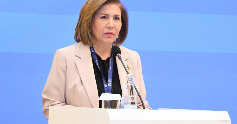 Komitə sədri: Qızların təhsil imkanlarının genişləndirilməsi davamlı inkişafın əsas şərtlərindən biridir