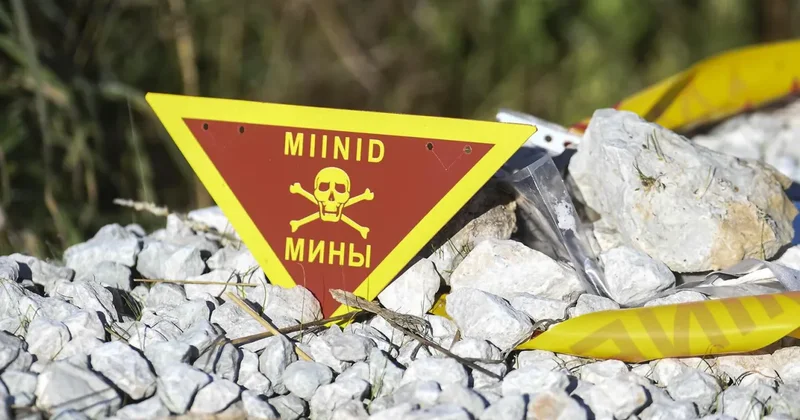 Эстония сняла ограничения на перевозку противопехотных мин
