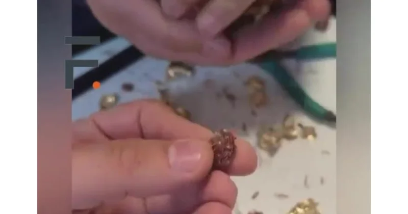 44 qram qızıl aldılar, görün içindən nə çıxdı... (Video)