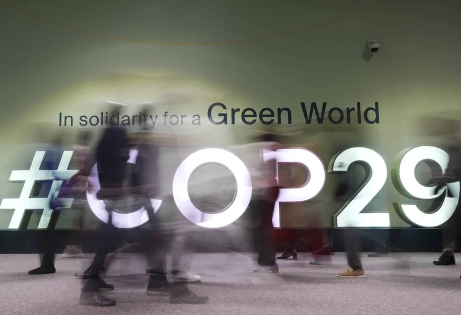 Азербайджан отразил 1,09 млрд кибератак во время COP29