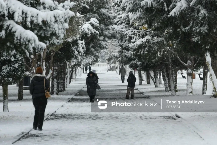 Высота снежного покрова в Сарыбаше составила 18 см ФАКТИЧЕСКАЯ ПОГОДА Новости Азербайджана