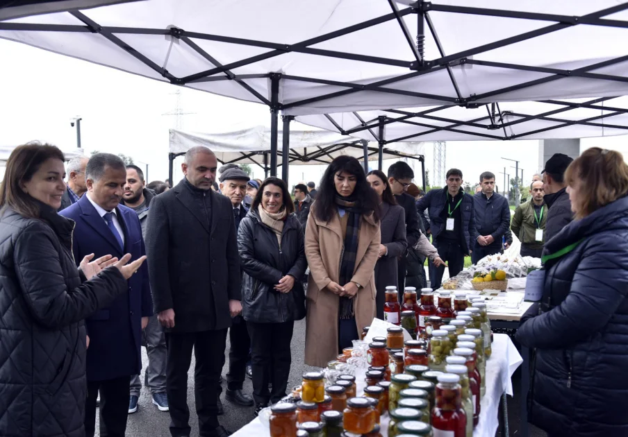 Lənkəran və Lerik rayonlarında Aqrar Biznes festivalları keçirilib