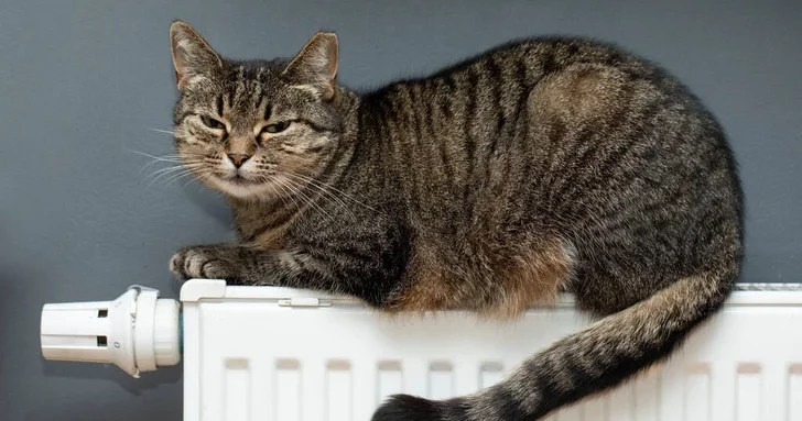 Жильцы комплекса в Абшеронском районе все еще борются за свое право на тепло