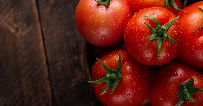 Azərbaycan pomidor ixracından 160 mln. dollar qazanıb