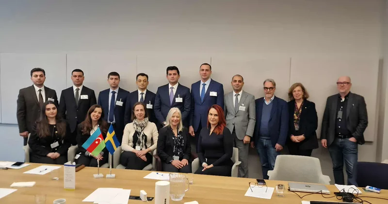 DVX nin nümayəndə heyəti İsveç Krallığına səfər edib