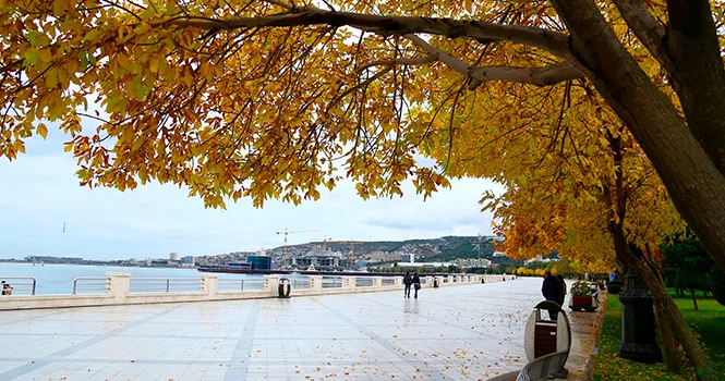 Синоптики спрогнозировали прогноз погоды на декабрь